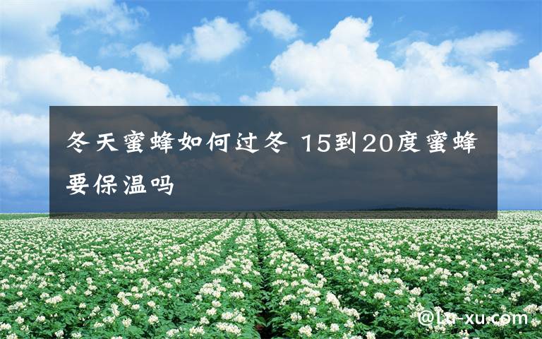 冬天蜜蜂如何过冬 15到20度蜜蜂要保温吗