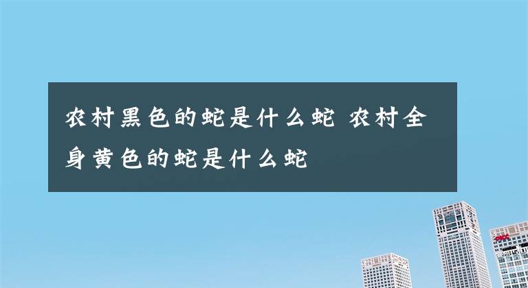 农村黑色的蛇是什么蛇 农村全身黄色的蛇是什么蛇