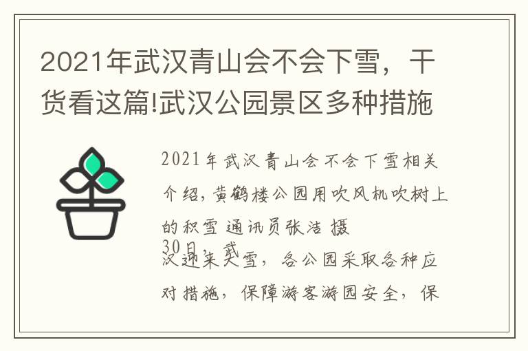 2021年武汉青山会不会下雪，干货看这篇!武汉公园景区多种措施应对雪天：吹风机吹树叶、给化石开暖气