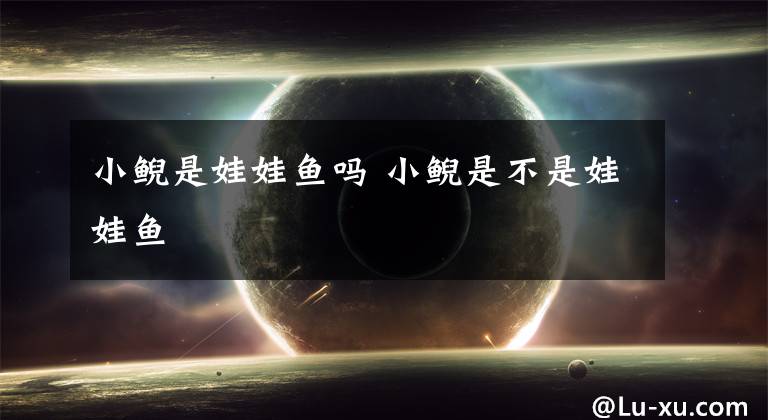 小鲵是娃娃鱼吗 小鲵是不是娃娃鱼文章配图
