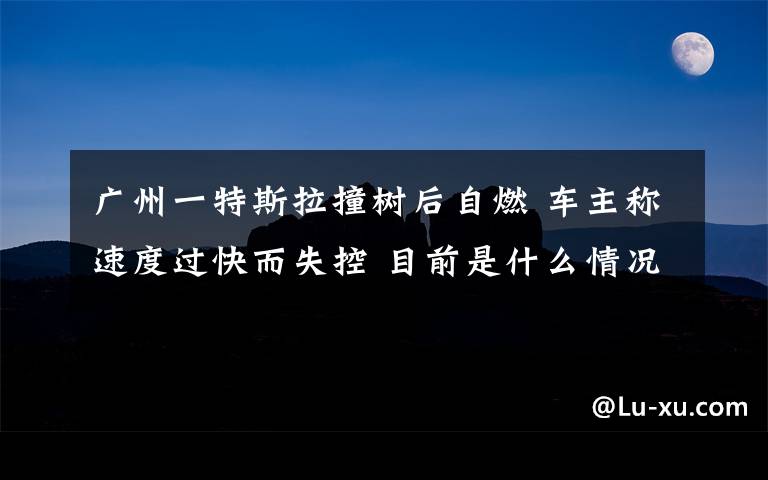 广州一特斯拉撞树后自燃 车主称速度过快而失控 目前是什么情况？