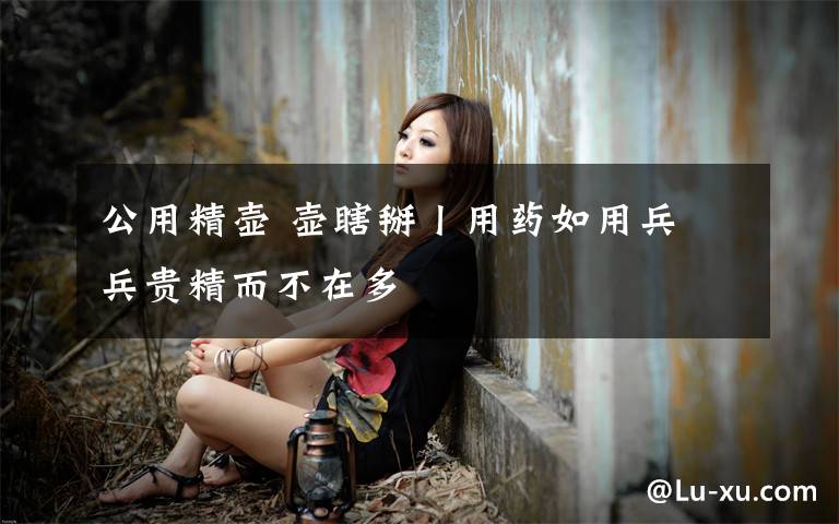 公用精壶 壶瞎掰丨用药如用兵 兵贵精而不在多文章配图