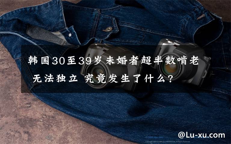 韩国30至39岁未婚者超半数啃老 无法独立 究竟发生了什么?