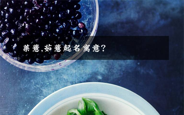 莱薏,茹薏起名寓意？