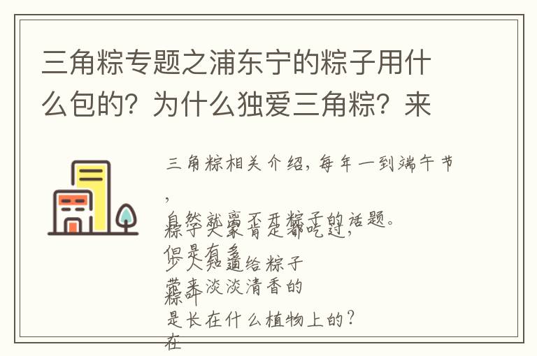 三角粽专题之浦东宁的粽子用什么包的？为什么独爱三角粽？来听民俗专家怎么说