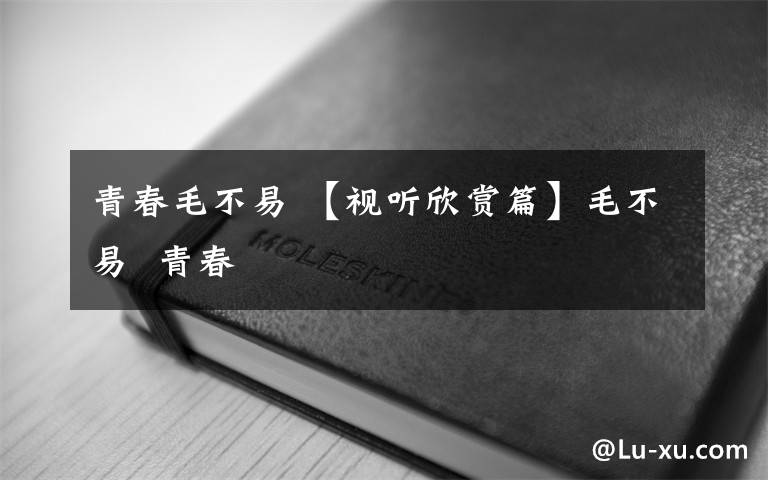 青春毛不易 【视听欣赏篇】毛不易  青春文章配图