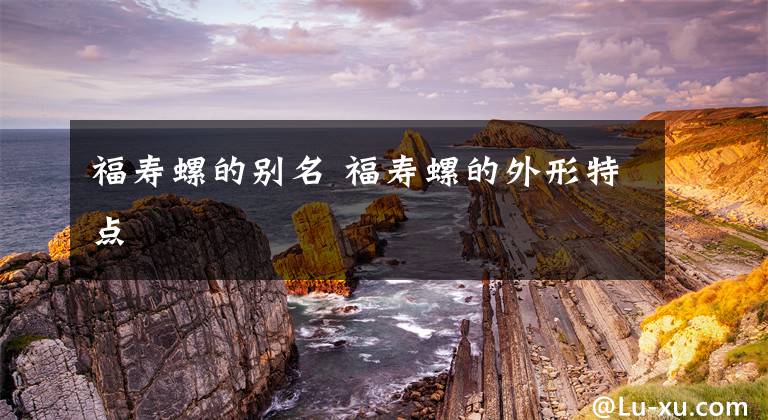 福寿螺的别名 福寿螺的外形特点文章配图