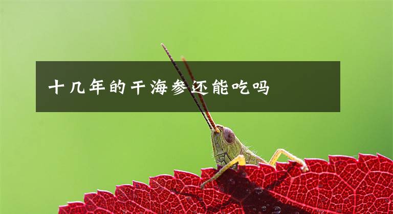 十几年的干海参还能吃吗文章配图
