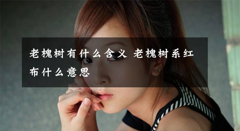 老槐树有什么含义 老槐树系红布什么意思文章配图