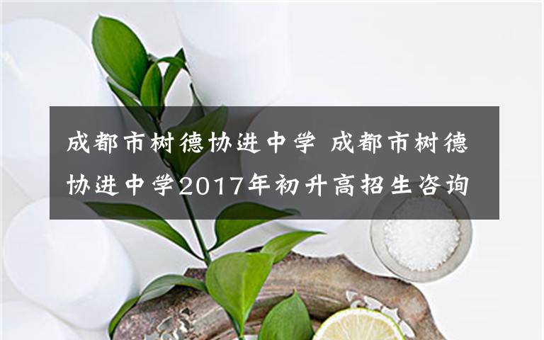 成都市树德协进中学 成都市树德协进中学2017年初升高招生咨询公告