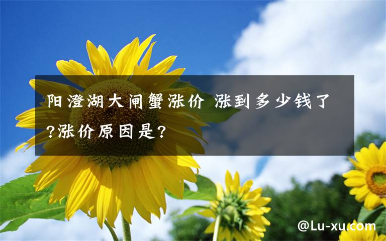 阳澄湖大闸蟹涨价 涨到多少钱了?涨价原因是?文章配图