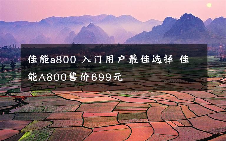 佳能a800 入门用户最佳选择 佳能A800售价699元文章配图
