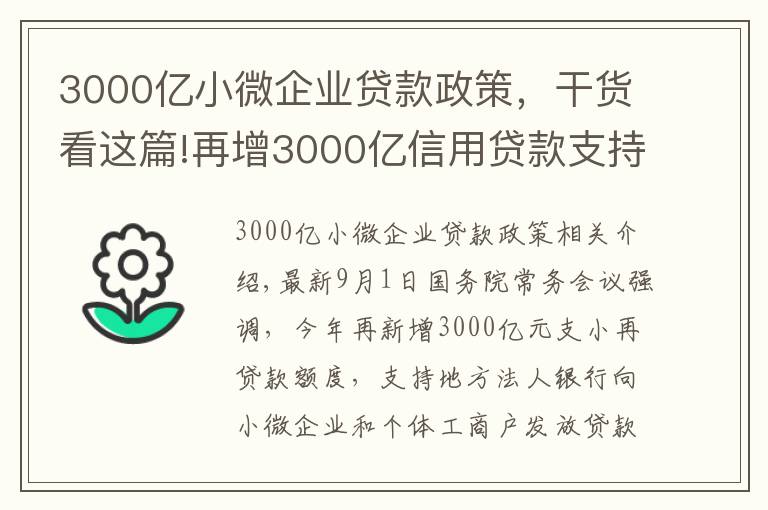 3000亿小微企业贷款政策，干货看这篇!再增3000亿信用贷款支持小微企业，政策来了您准备好了吗