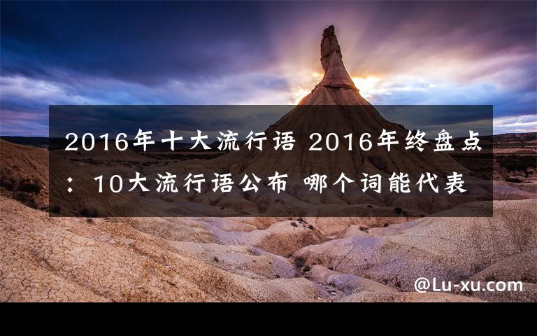 2016年十大流行语 2016年终盘点：10大流行语公布 哪个词能代表你的2016呢？