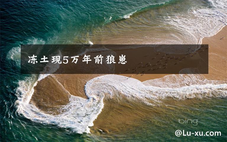 冻土现5万年前狼崽文章配图