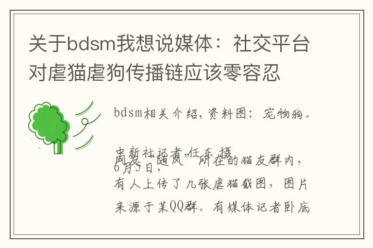 关于bdsm我想说媒体：社交平台对虐猫虐狗传播链应该零容忍