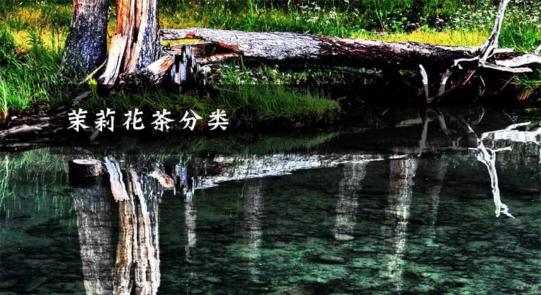 茉莉花茶分类文章配图