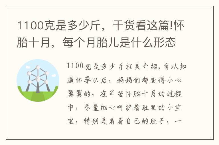 1100克是多少斤，干货看这篇!怀胎十月，每个月胎儿是什么形态？看完不得不感叹生命的伟大