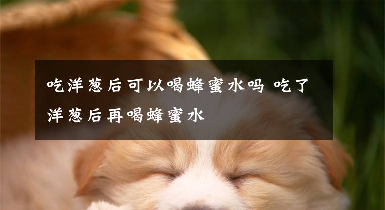 吃洋葱后可以喝蜂蜜水吗 吃了洋葱后再喝蜂蜜水文章配图