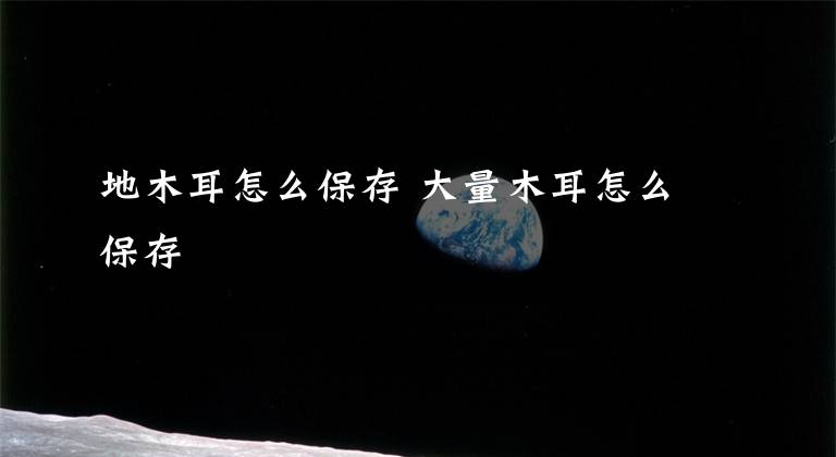 地木耳怎么保存 大量木耳怎么保存文章配图