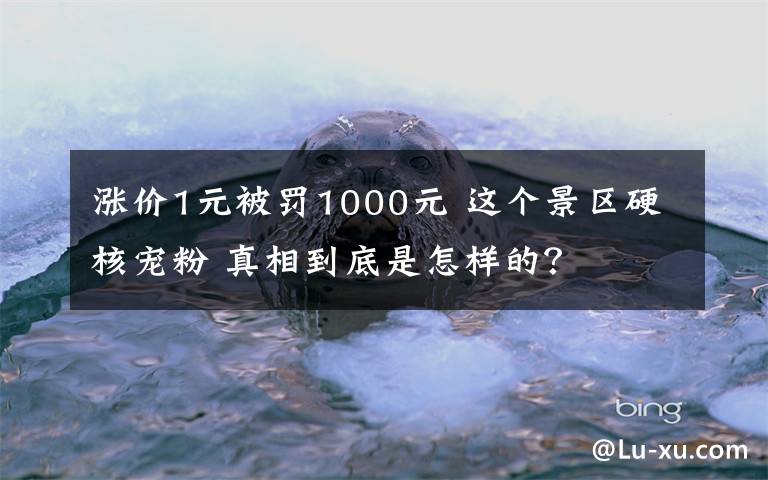 涨价1元被罚1000元 这个景区硬核宠粉 真相到底是怎样的？