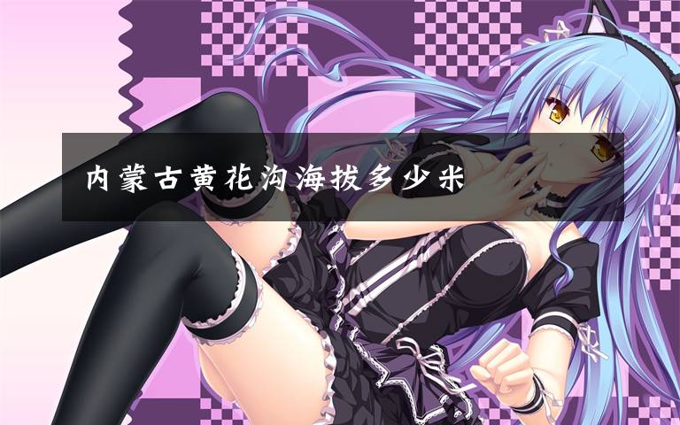 内蒙古黄花沟海拔多少米