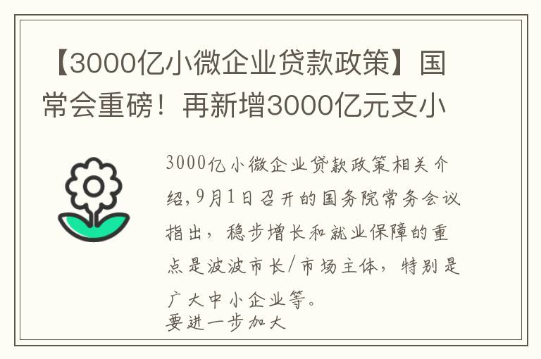 【3000亿小微企业贷款政策】国常会重磅！再新增3000亿元支小再贷款额度，发挥专项债作用带动扩大有效投资