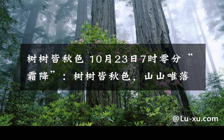 树树皆秋色 10月23日7时零分“霜降”：树树皆秋色，山山唯落晖