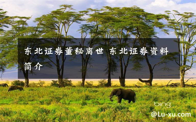 东北证券董秘离世 东北证券资料简介文章配图