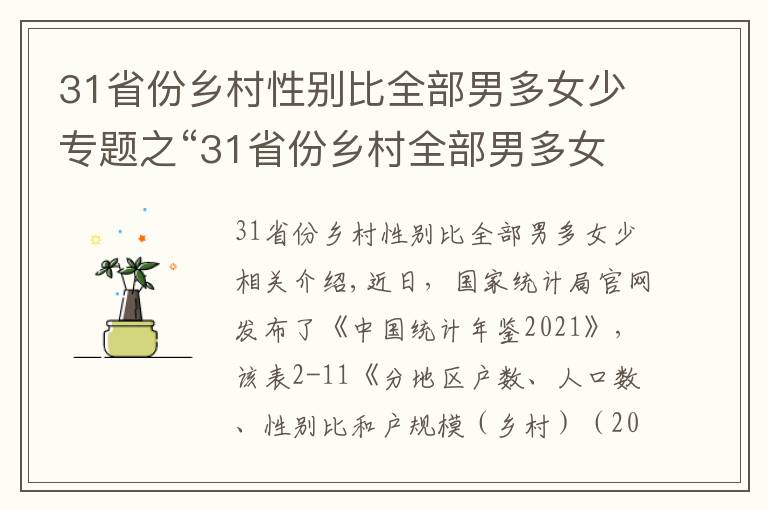 31省份乡村性别比全部男多女少专题之“31省份乡村全部男多女少”值得警惕