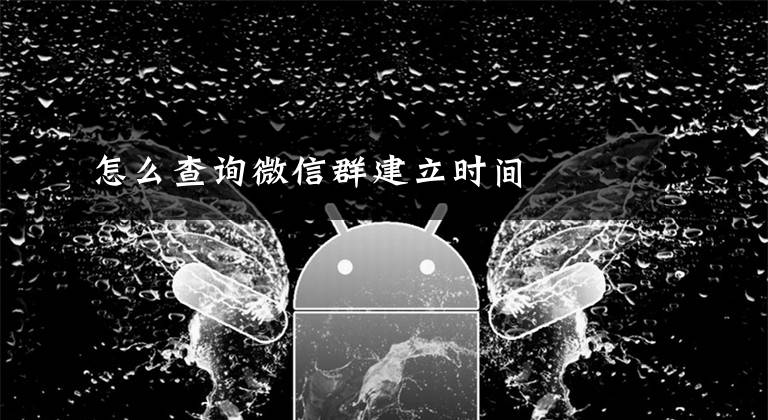怎么查询微信群建立时间文章配图
