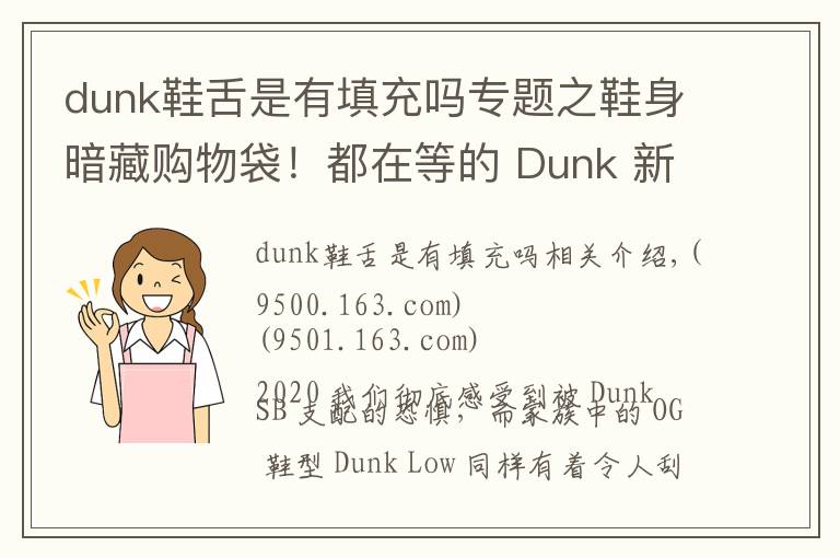 dunk鞋舌是有填充吗专题之鞋身暗藏购物袋！都在等的 Dunk 新品，发售信息有了