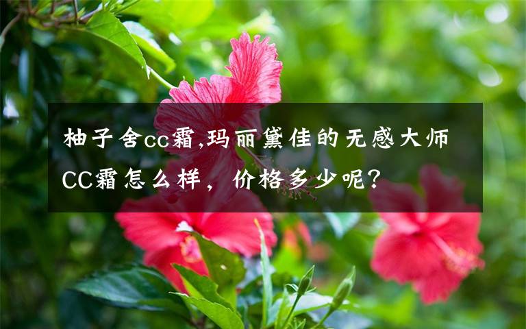 柚子舍cc霜,玛丽黛佳的无感大师CC霜怎么样，价格多少呢？