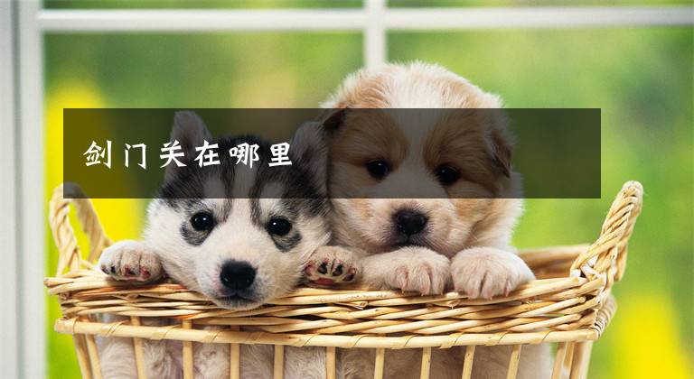 剑门关在哪里文章配图