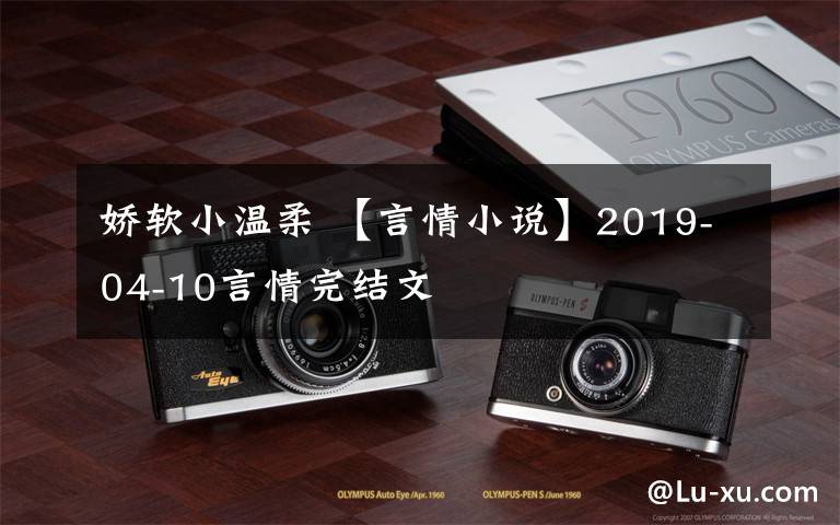 娇软小温柔 【言情小说】2019-04-10言情完结文文章配图