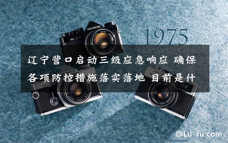 辽宁营口启动三级应急响应 确保各项防控措施落实落地 目前是什么情况？