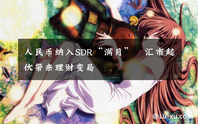 人民币纳入SDR“满月”　汇市起伏带来理财变局