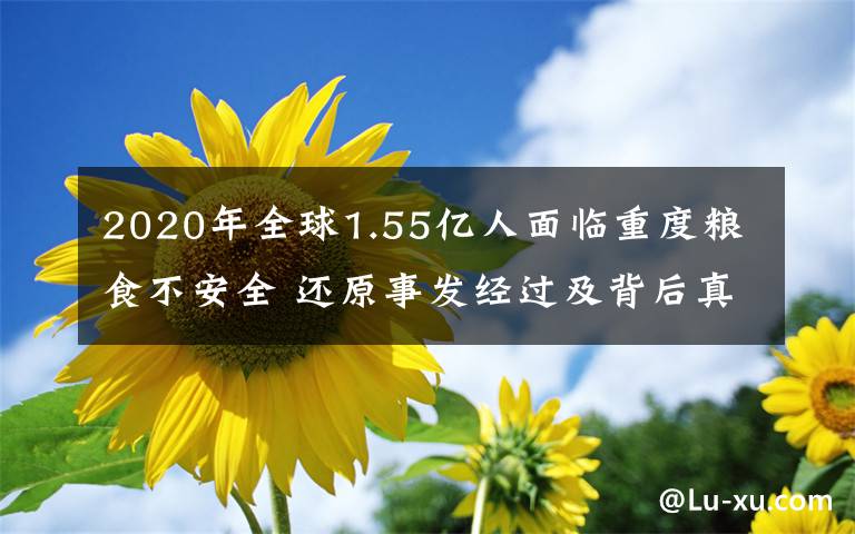 2020年全球1.55亿人面临重度粮食不安全 还原事发经过及背后真相！