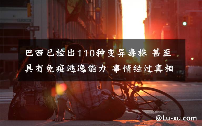巴西已检出110种变异毒株 甚至具有免疫逃逸能力 事情经过真相揭秘！