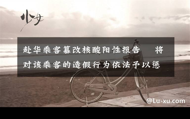 赴华乘客篡改核酸阳性报告  将对该乘客的造假行为依法予以惩处 目前是什么情况？