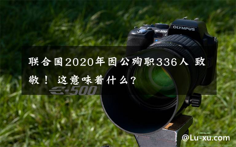 联合国2020年因公殉职336人 致敬！ 这意味着什么?