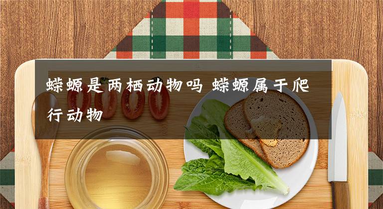 蝾螈是两栖动物吗 蝾螈属于爬行动物文章配图