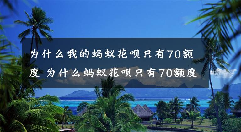 为什么我的蚂蚁花呗只有70额度 为什么蚂蚁花呗只有70额度 花呗突然降额度了还会恢复吗