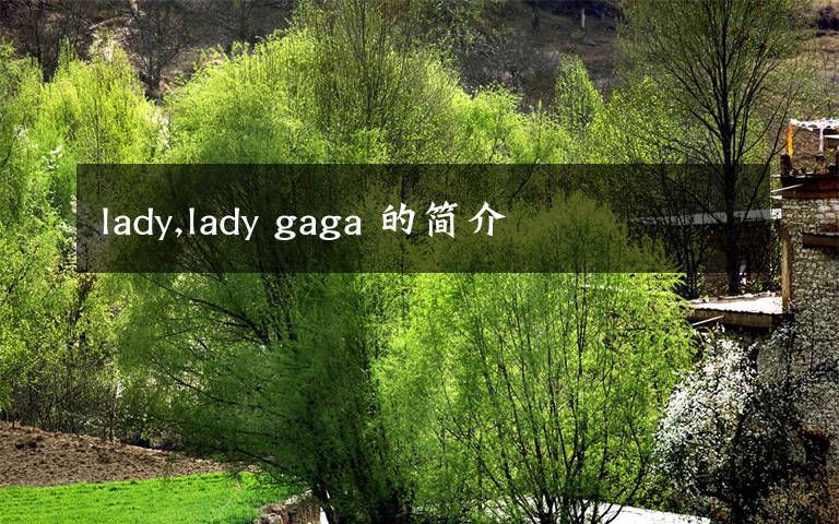 lady,lady gaga 的简介