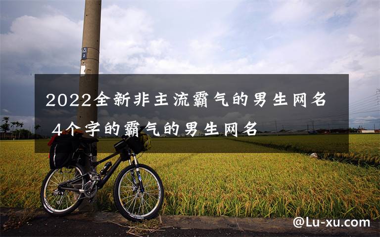 2022全新非主流霸气的男生网名 4个字的霸气的男生网名