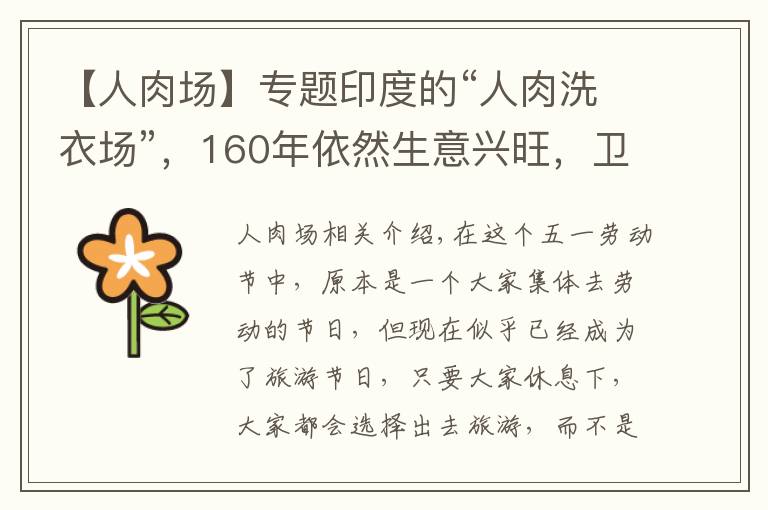 【人肉场】专题印度的“人肉洗衣场”，160年依然生意兴旺，卫生状况却惨不忍睹