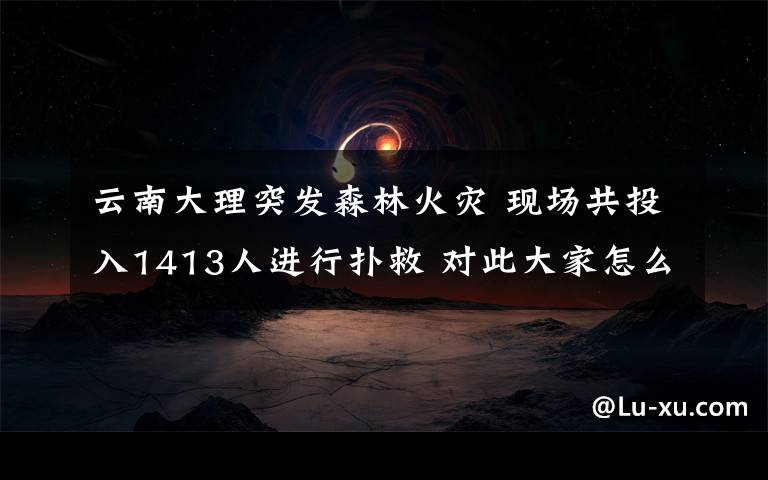 云南大理突发森林火灾 现场共投入1413人进行扑救 对此大家怎么看？