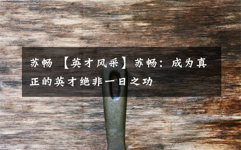 苏畅 【英才风采】苏畅：成为真正的英才绝非一日之功文章配图