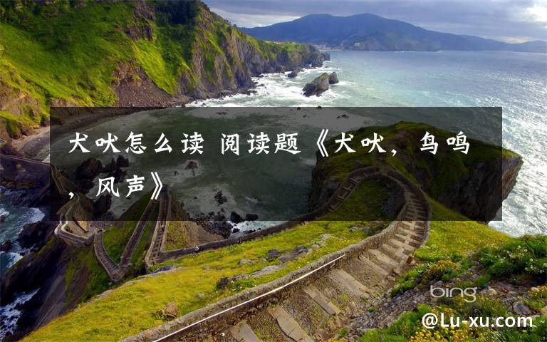 犬吠怎么读 阅读题《犬吠，鸟鸣，风声》文章配图