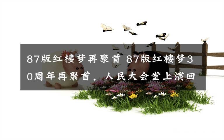 87版红楼梦再聚首 87版红楼梦30周年再聚首，人民大会堂上演回忆杀，观众哭了